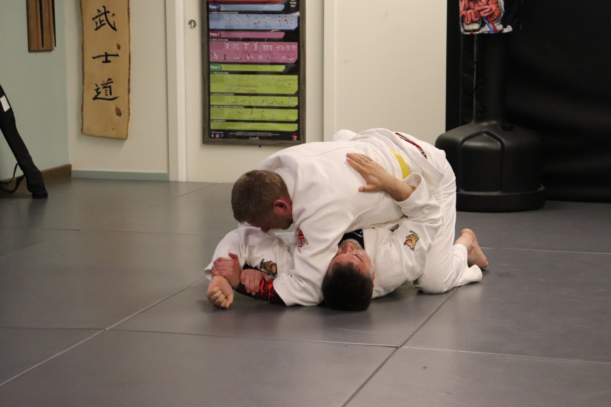 Adult BJJ Program